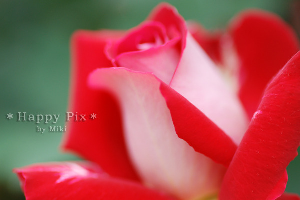 2007-05-16(13)