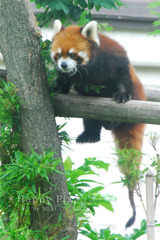 2008-05-31_0061