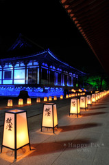 2010-06-05_9207