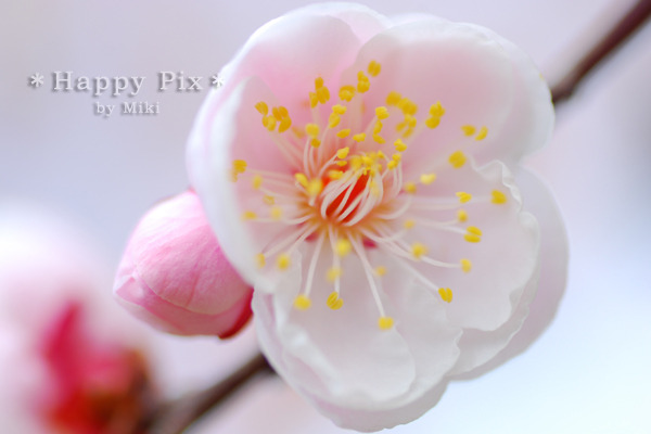 2009-02-28_0230