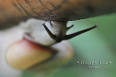 2011-06-11_7997