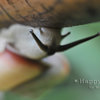 2011-06-11_7997