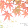 2009-11-16_1665