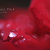 2010-05-24_7482