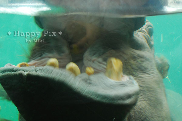 2008-05-31_0032
