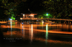 2009-08-11_4889
