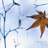 2009-11-28_1793