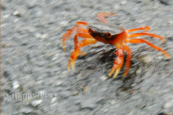 2008-09-26_0117