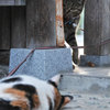 2011-06-25_0984