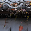2010-11-25_0285