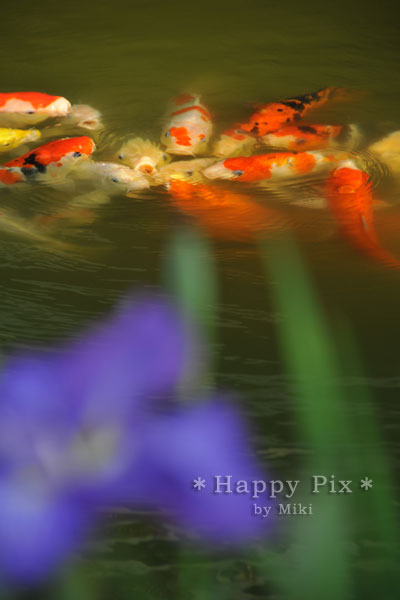 2009-06-06_0097