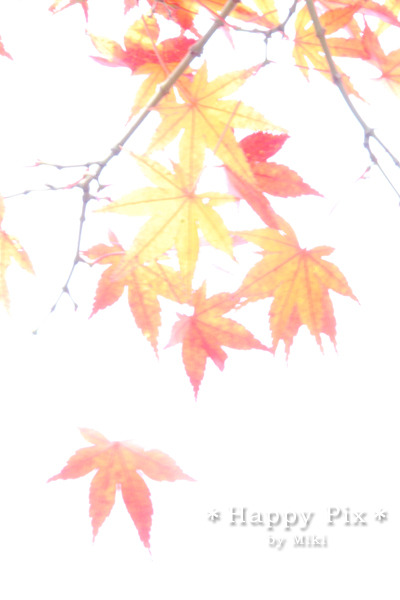 2008-11-22_0143