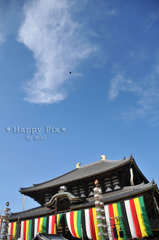 2010-10-17_0432