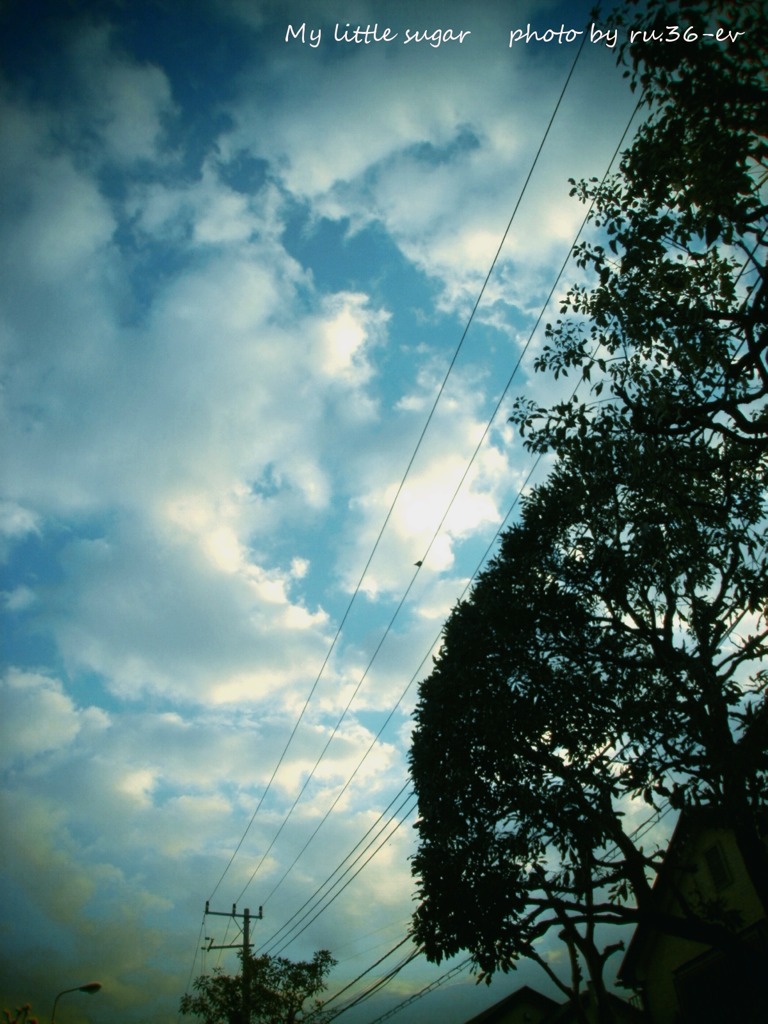 in the Sky.