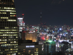 スカイツリーがうっすらと