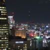 スカイツリーがうっすらと