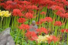 彼岸花に囲まれて・・・