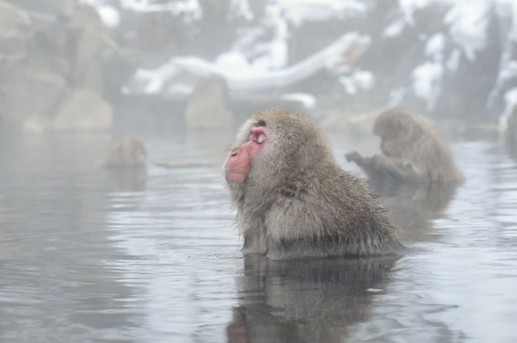 ん～・・・いい気持ち～♪