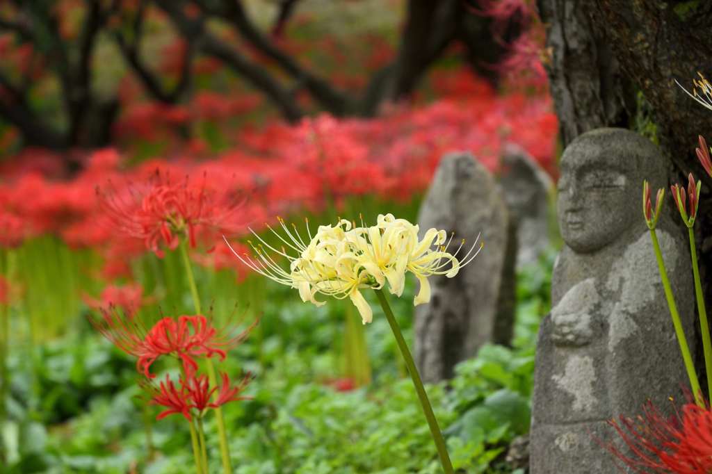 彼岸花を見守るお地蔵様