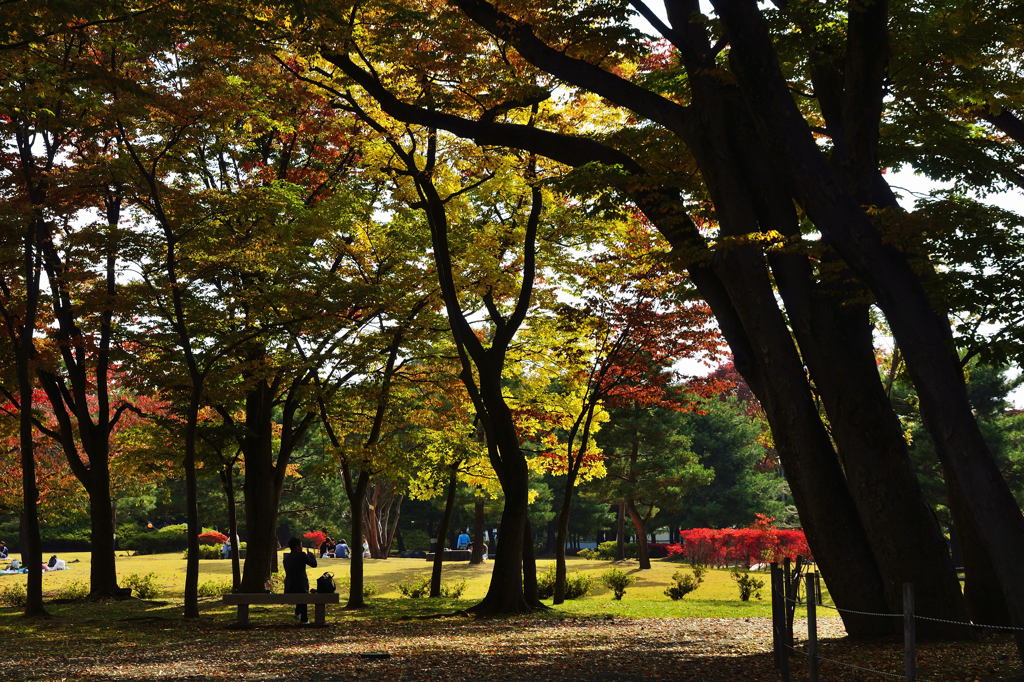 贅沢な時間