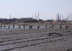 ３月１１日大津波の爪跡９