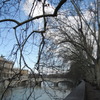 Lungotevere Tor di Nona