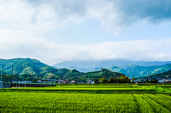 ある日の風景