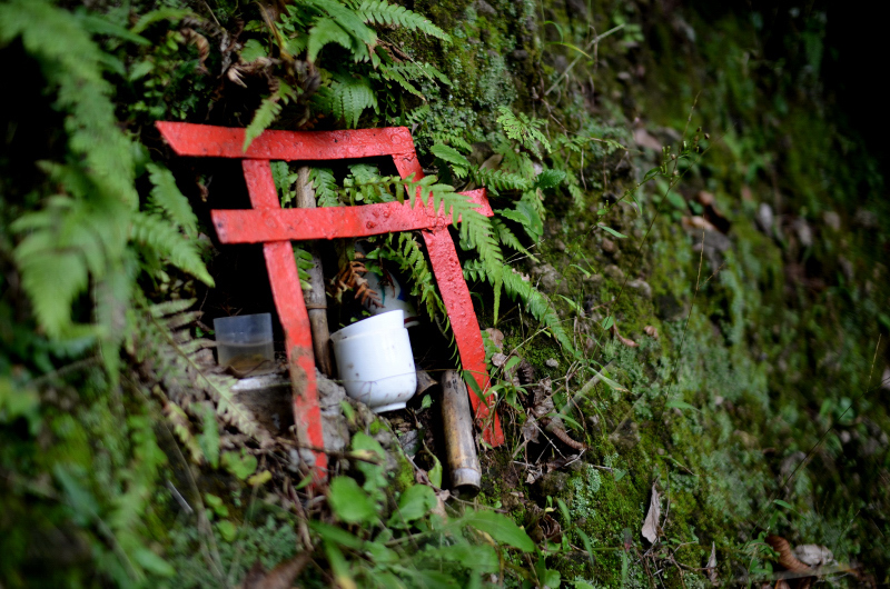 torii