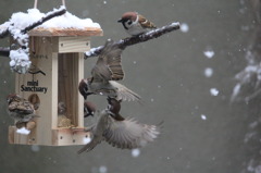 仲良くしましょうよ～～！