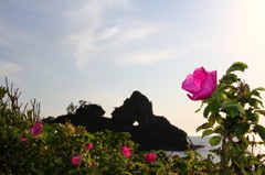 能登曽々木の窓岩
