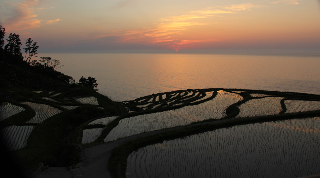 能登千枚田の夕景
