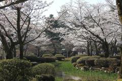 兼六園