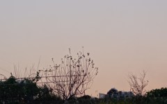 夕景（４）