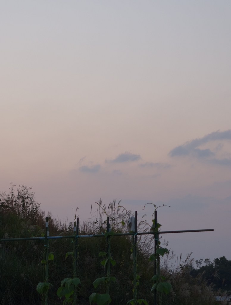 夕景（２）