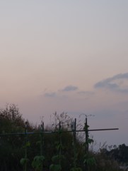 夕景（２）