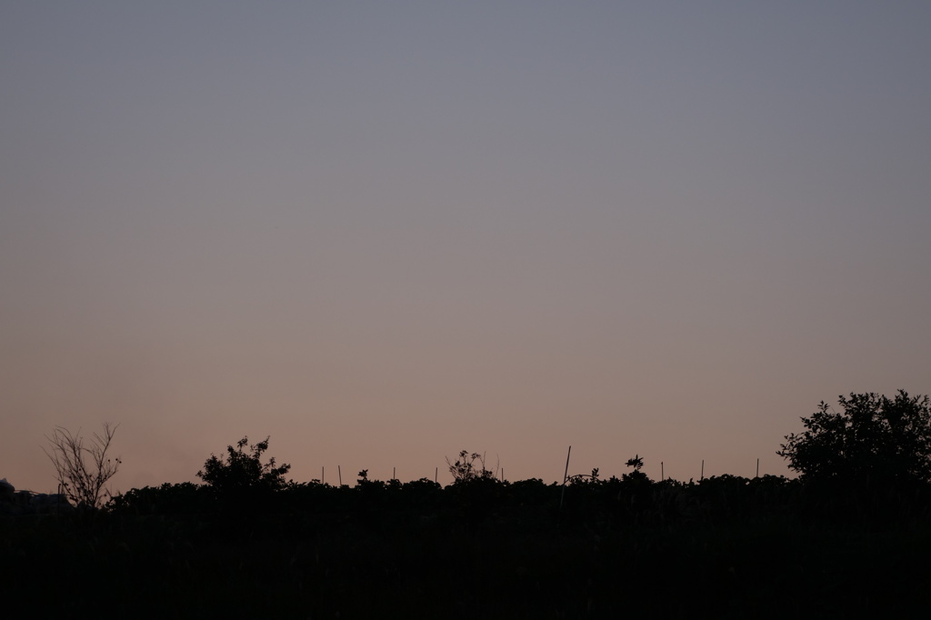 夕景（３）