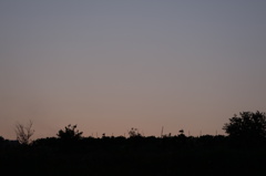 夕景（３）