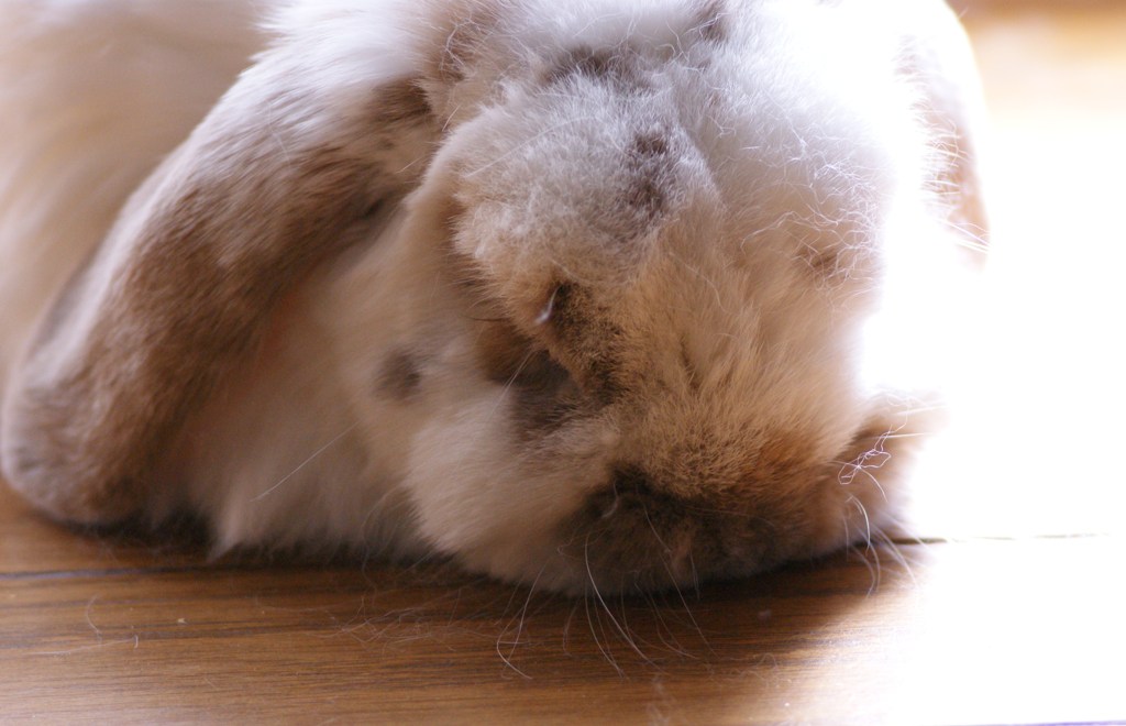 ぐっすり