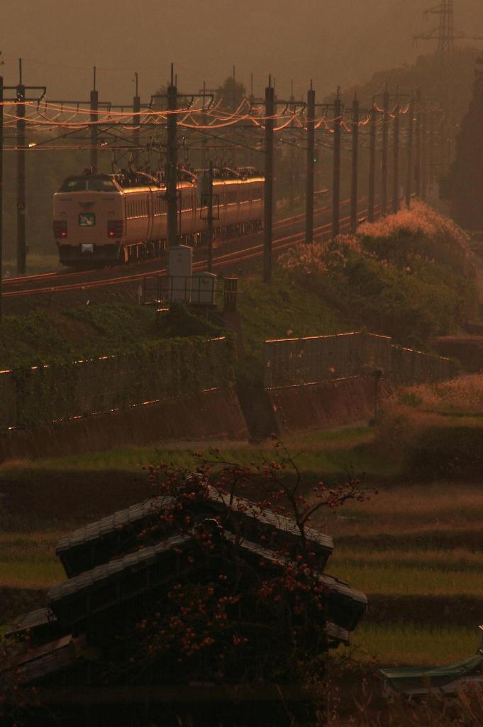 晩秋の湖西路