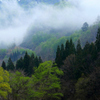 小国情景