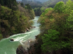 小国情景2