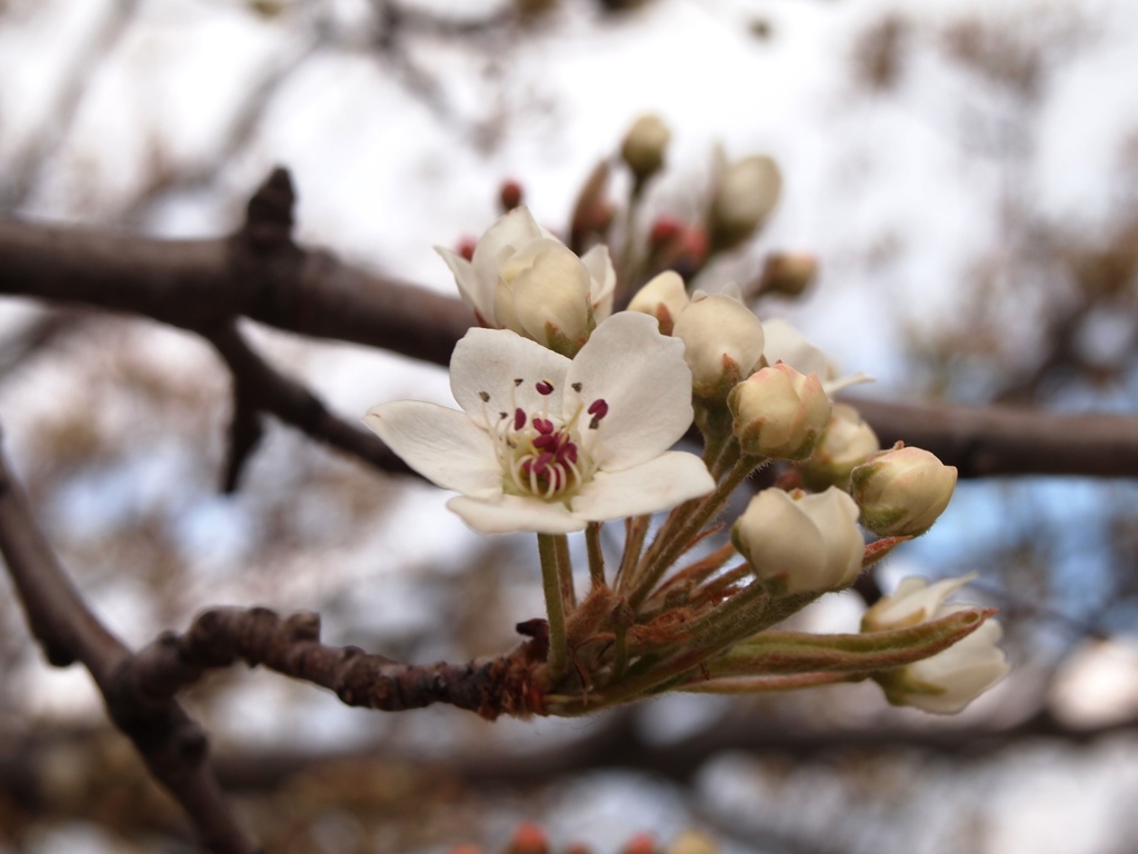 春はすぐそこまで・・・２