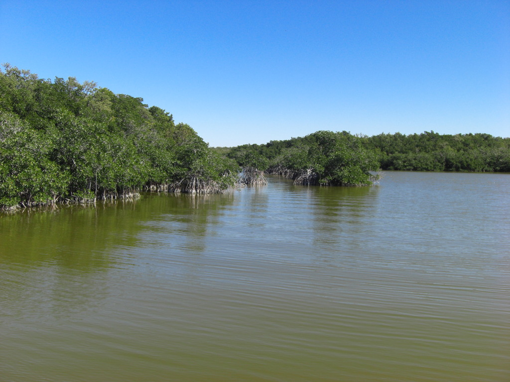 エバーグレース国立公園