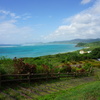 石垣島の夏