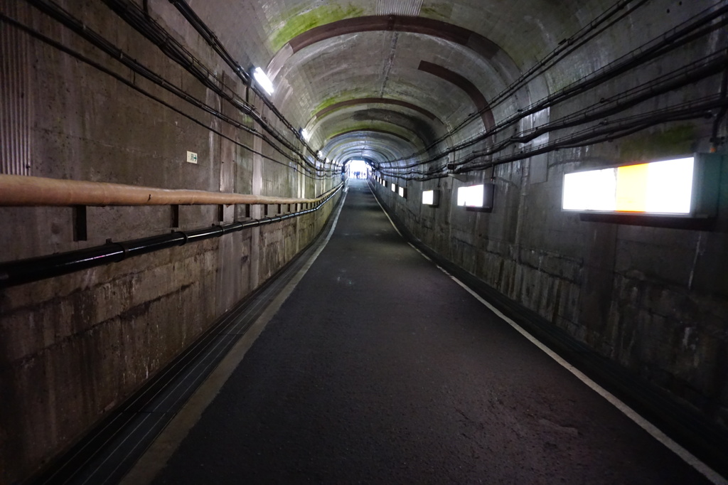 トンネルの先には・・・
