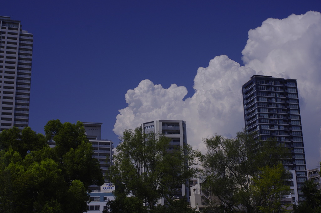 入道雲