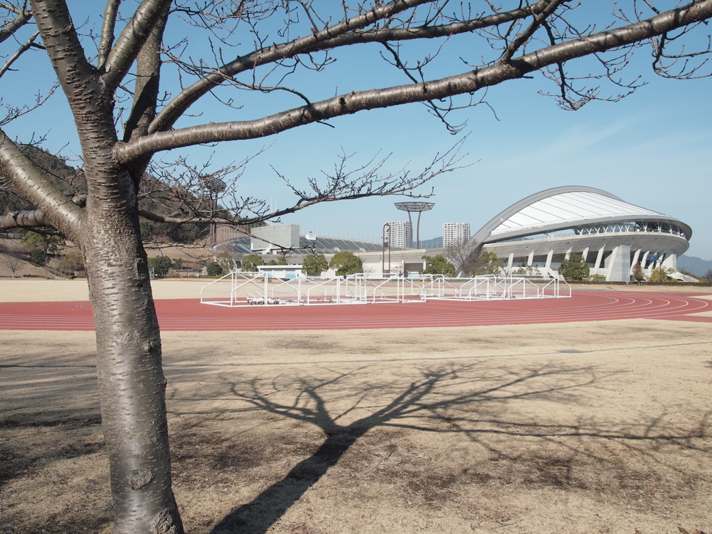 ビッグアーチ