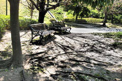 誰も居ない公園