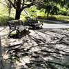 誰も居ない公園