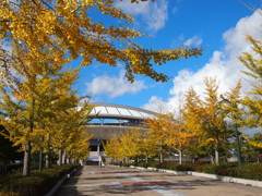 爽やか系スタジアム